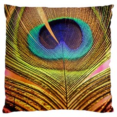 Peacock Feather Bird Colorful Large Cushion Case (two Sides) by Pakrebo