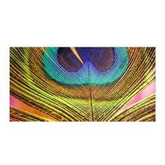 Peacock Feather Bird Colorful Satin Wrap by Pakrebo