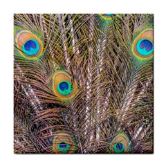 Pen Peacock Wheel Plumage Colorful Tile Coasters by Pakrebo