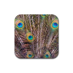 Pen Peacock Wheel Plumage Colorful Rubber Coaster (square)  by Pakrebo