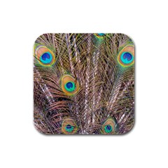 Pen Peacock Wheel Plumage Colorful Rubber Square Coaster (4 Pack)  by Pakrebo