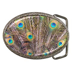 Pen Peacock Wheel Plumage Colorful Belt Buckles by Pakrebo