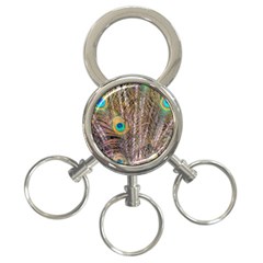 Pen Peacock Wheel Plumage Colorful 3-ring Key Chains by Pakrebo