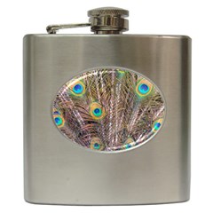 Pen Peacock Wheel Plumage Colorful Hip Flask (6 Oz) by Pakrebo