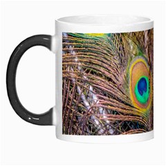 Pen Peacock Wheel Plumage Colorful Morph Mugs by Pakrebo