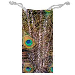 Pen Peacock Wheel Plumage Colorful Jewelry Bag by Pakrebo