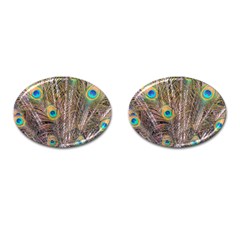 Pen Peacock Wheel Plumage Colorful Cufflinks (oval) by Pakrebo