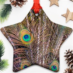 Pen Peacock Wheel Plumage Colorful Star Ornament (two Sides) by Pakrebo