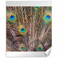 Pen Peacock Wheel Plumage Colorful Canvas 16  X 20  by Pakrebo