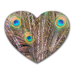 Pen Peacock Wheel Plumage Colorful Heart Mousepads by Pakrebo