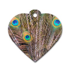 Pen Peacock Wheel Plumage Colorful Dog Tag Heart (one Side) by Pakrebo