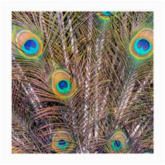 Pen Peacock Wheel Plumage Colorful Medium Glasses Cloth (2-side) by Pakrebo