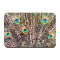 Pen Peacock Wheel Plumage Colorful Plate Mats by Pakrebo