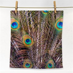 Pen Peacock Wheel Plumage Colorful Face Towel by Pakrebo