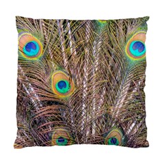 Pen Peacock Wheel Plumage Colorful Standard Cushion Case (one Side) by Pakrebo