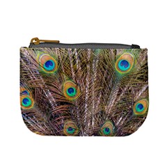 Pen Peacock Wheel Plumage Colorful Mini Coin Purse by Pakrebo