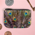 Pen Peacock Wheel Plumage Colorful Mini Coin Purse Front