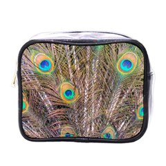 Pen Peacock Wheel Plumage Colorful Mini Toiletries Bag (one Side) by Pakrebo