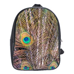 Pen Peacock Wheel Plumage Colorful School Bag (xl) by Pakrebo