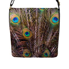 Pen Peacock Wheel Plumage Colorful Flap Closure Messenger Bag (l) by Pakrebo