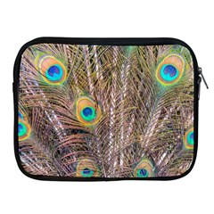 Pen Peacock Wheel Plumage Colorful Apple Ipad 2/3/4 Zipper Cases by Pakrebo