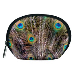 Pen Peacock Wheel Plumage Colorful Accessory Pouch (medium) by Pakrebo