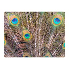 Pen Peacock Wheel Plumage Colorful Double Sided Flano Blanket (mini)  by Pakrebo