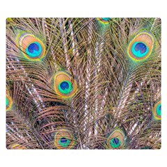 Pen Peacock Wheel Plumage Colorful Double Sided Flano Blanket (small)  by Pakrebo