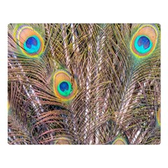 Pen Peacock Wheel Plumage Colorful Double Sided Flano Blanket (large)  by Pakrebo