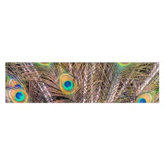 Pen Peacock Wheel Plumage Colorful Satin Scarf (oblong) by Pakrebo