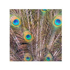 Pen Peacock Wheel Plumage Colorful Small Satin Scarf (square)