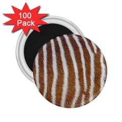 Skin Zebra Striped White Brown 2 25  Magnets (100 Pack)  by Pakrebo