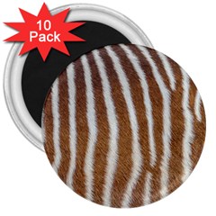 Skin Zebra Striped White Brown 3  Magnets (10 pack) 