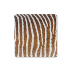 Skin Zebra Striped White Brown Square Magnet by Pakrebo