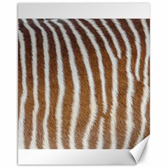 Skin Zebra Striped White Brown Canvas 16  x 20 