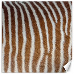 Skin Zebra Striped White Brown Canvas 20  x 20 