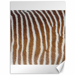 Skin Zebra Striped White Brown Canvas 36  X 48  by Pakrebo