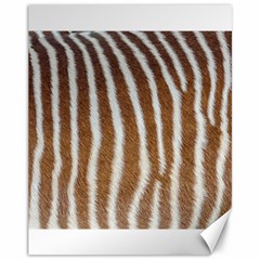 Skin Zebra Striped White Brown Canvas 11  X 14  by Pakrebo