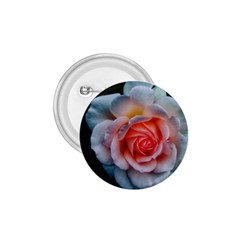 Favorite Rose  1 75  Buttons by okhismakingart