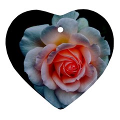 Favorite Rose  Ornament (heart) by okhismakingart