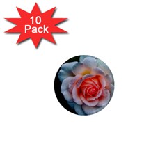 Favorite Rose  1  Mini Magnet (10 Pack)  by okhismakingart