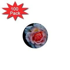 Favorite Rose  1  Mini Buttons (100 Pack)  by okhismakingart