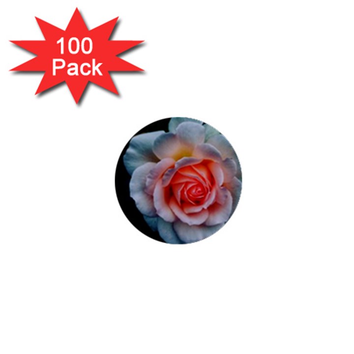 Favorite Rose  1  Mini Buttons (100 pack) 