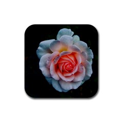 Favorite Rose  Rubber Square Coaster (4 Pack)  by okhismakingart