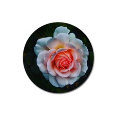 Favorite Rose  Magnet 3  (round) by okhismakingart