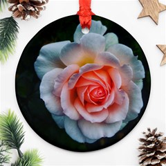 Favorite Rose  Round Ornament (two Sides) by okhismakingart