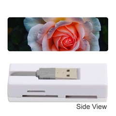 Favorite Rose  Memory Card Reader (stick) by okhismakingart