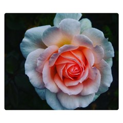 Favorite Rose  Double Sided Flano Blanket (small)  by okhismakingart