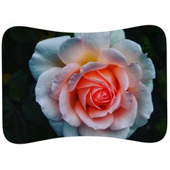 Favorite Rose  Velour Seat Head Rest Cushion by okhismakingart