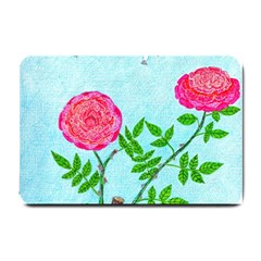 Roses And Seagulls Small Doormat 